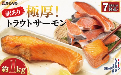 【スピード配送】 訳あり 極厚 トラウトサーモン 約1kg