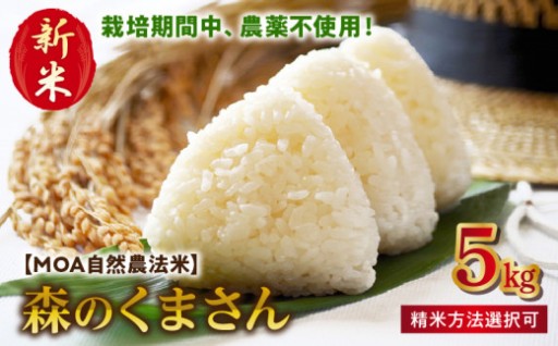 大人気！自然農法のお米🌾「森のくまさん」🐻🐻‍❄️
