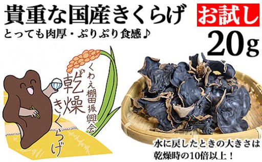 国産きくらげ お試し20g