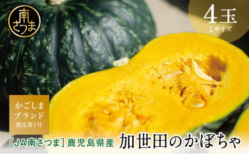 かごしまブランド指定第一号の加世田のかぼちゃ