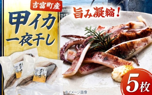 【美食家からも高評価】甲イカ 一夜干し 5枚🦑