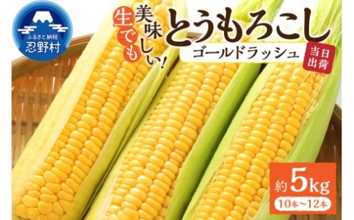ゴールドラッシュ10本から12本【2026年先行予約】