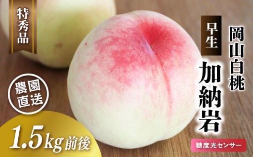 早生桃🍑加納岩白桃（かのういわはくとう）