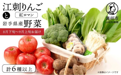 江刺りんごと岩手県産野菜セット【8月下旬～9月上旬お届け】 [AQ013]