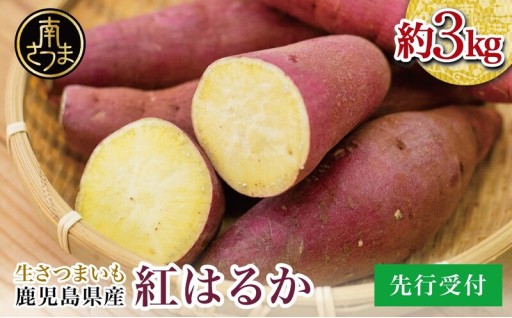 先行予約受付開始！冬の楽しみを先取り「蜜たっぷり紅はるか」