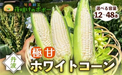 🌽極甘ホワイトコーン （ 12本 / 24本 / 48本 ）🌽