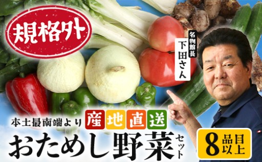 【規格外】本土最南端から 旬のお試し 野菜セット 8品目以上 NI-2