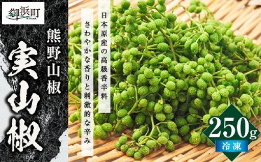 【🟢収穫が始まってます🖐️】国産・実山椒 250g