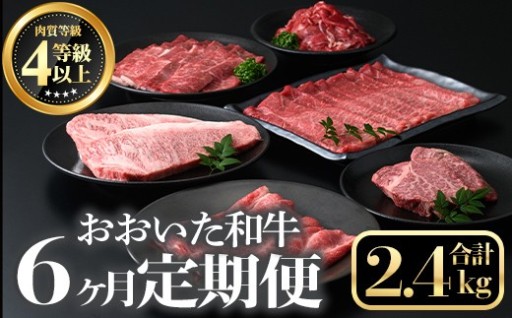 ＜定期便・全６回＞おおいた和牛６か月定期便(合計2.4kg) 