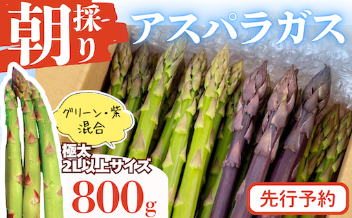 【もうすぐ受付終了】西和賀の春のごちそう「朝採りアスパラガス」