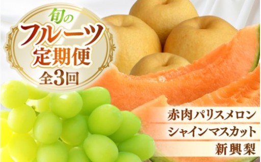 【先行予約】最もおいしい時期に収穫した3種のフルーツをお届け🍈