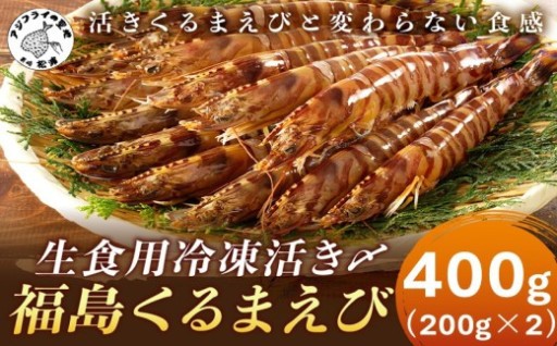 《秘境福島産くるまえび🦐》