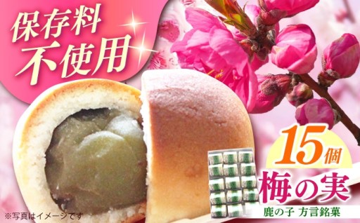 【明治17年創業の老舗】大粒青梅を丸ごと包んだ銘菓「梅の実」