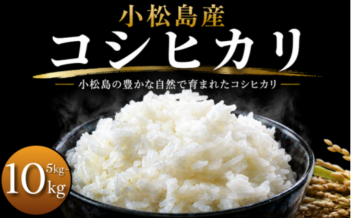 ふっくらとした炊き上がりと、噛むほどに広がる自然な甘みが特徴です