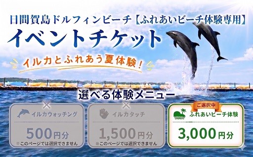 夏は日間賀島でイルカとふれあおう♪