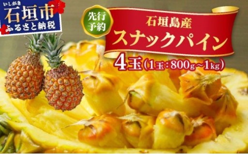 石垣島の太陽の恵み『スナックパイン』！