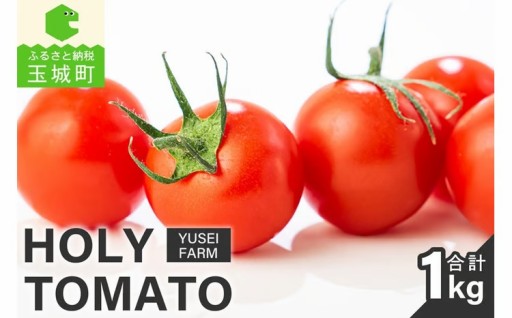 HOLY TOMATO