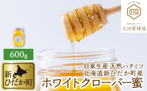 北海道産はちみつ ホワイトクローバー蜜 600g