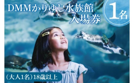 『DMMかりゆし水族館』入場券