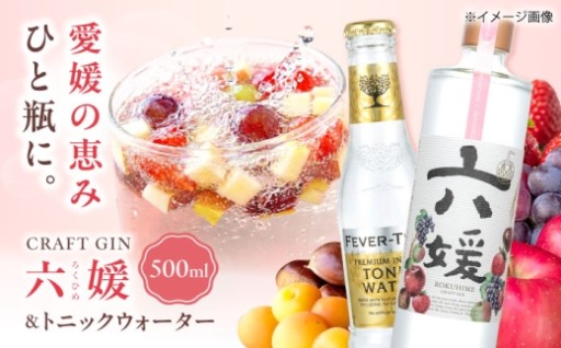 道後ジン六媛 500ml＆トニック2本セット
