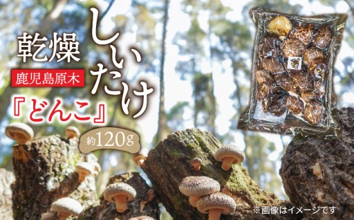 ＼極上旨味！／鹿児島原木乾燥しいたけ『どんこ』 約120g