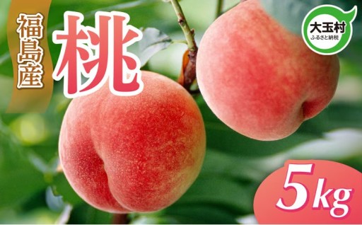 もも 先行予約 福島 5kg （16～20玉入）大玉村産