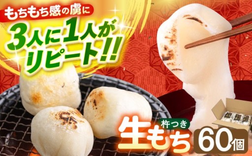 【注文後につきたてをお届け】築上町産もち米使用の本格杵つき生もち