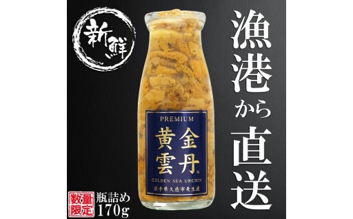 漁港から直送！数量限定 久慈市麦生産「黄金雲丹」