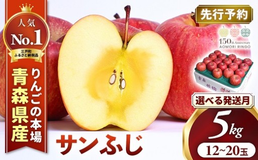 青森県産りんご サンふじ 約5kg 先行予約受付中！★選べる発送月★