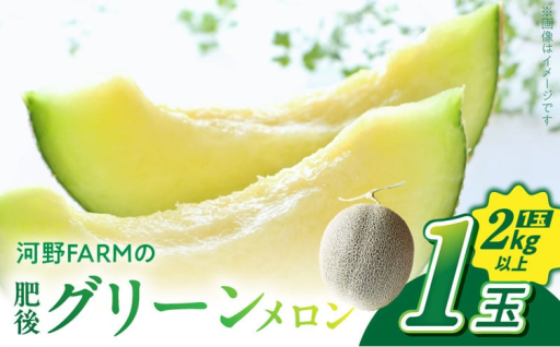 🍈🍈🍈河野FARM 肥後グリーンメロン１玉🍈🍈🍈