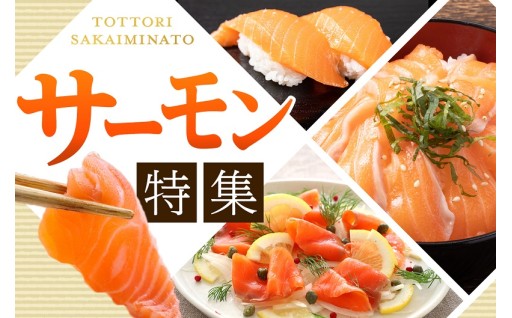 【境港市】～境港市ふるさと納税「サーモン」特集！～