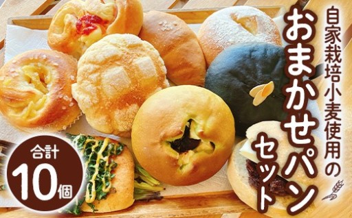 おまかせパンセット(合計10個) 