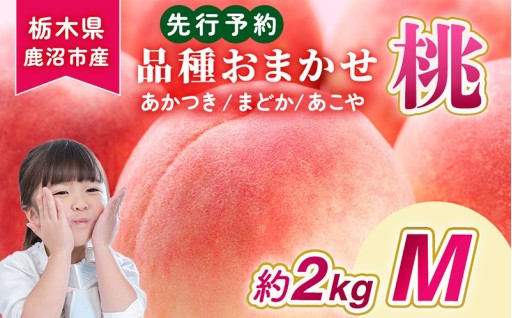 ＜先行予約＞【品種おまかせ】鹿沼市産 もも Mサイズ（2kg）