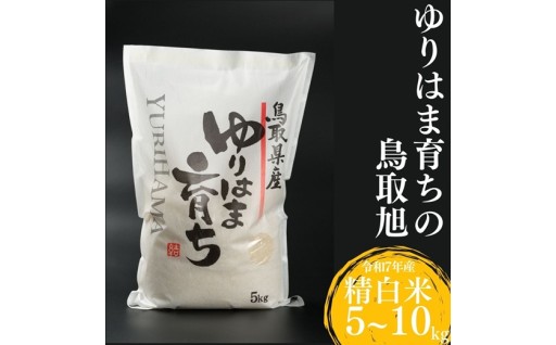 昭和の味を受け継ぐお米「鳥取旭」