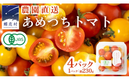 ＼程よい酸味！／有機自然栽培ミニトマト