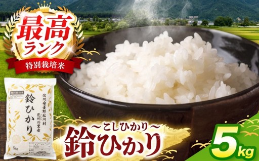 松川村ブランド米 鈴ひかり 1等A 特別栽培米 コシヒカリ 5kg