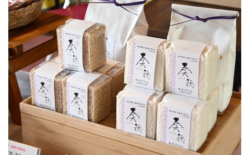 北海道奈井江町産ゆめぴりか「奏穂（かなでほ）」
