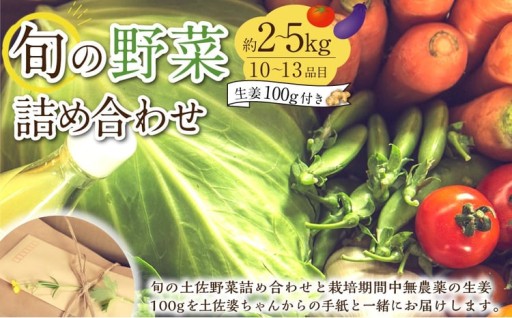 旬の野菜の詰め合わせと栽培期間中 農薬不使用の生姜100g付き