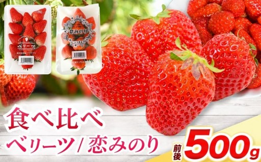 ベリーツ ・ 恋みのり 食べ比べセット 各250g ( 約500g )
