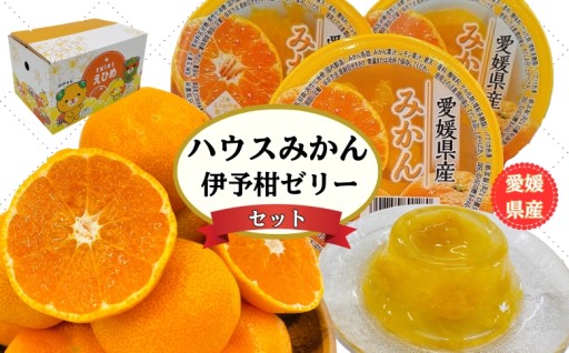 ハウスみかん（1.5kg） と伊予柑ゼリー（6個）のセット🎁