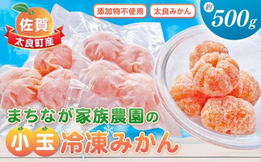 まちなが家族農園の小玉冷凍みかん　約500ｇ