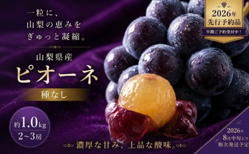 甘みと酸味の絶妙なバランス。種なし濃厚ピオーネ