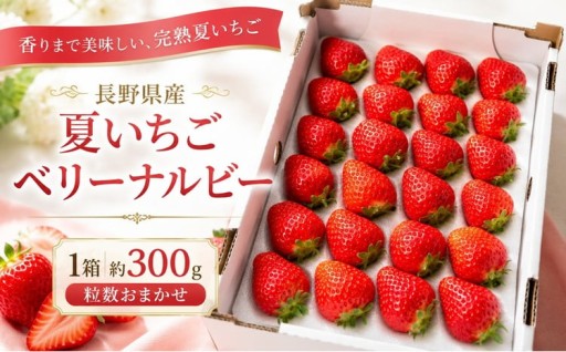 長野県産 夏いちご ベリーナルビー 1箱