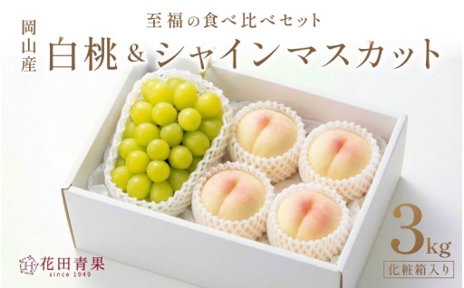 【チョイス限定】桃 シャインマスカット 約3kg 秀品 詰合せ