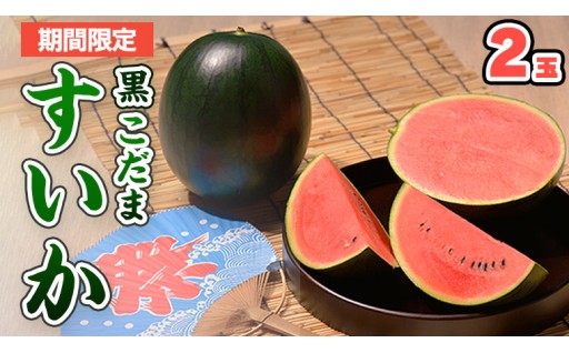 インパクト抜群！今年は黒こだまで決まり🍉