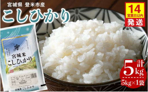 ≪令和7年産≫ コシヒカリ 5kg×1袋