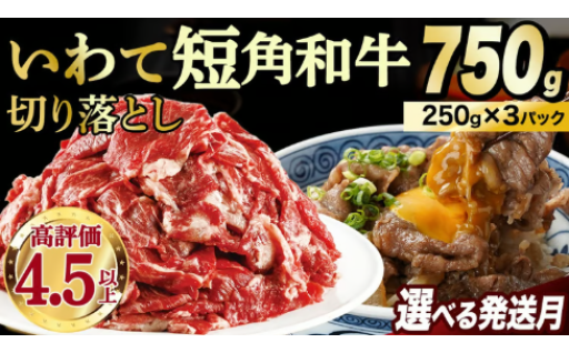 【選べる発送月】いわて短角和牛切り落とし750g