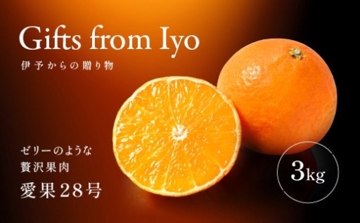 紅まどんな同一品種！愛果28号🍊約3kg