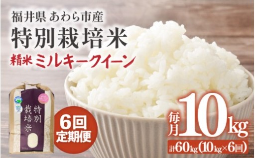 【先行予約】味・香り共に最良のお米で一度は食べてみたい、特別なお米🌾