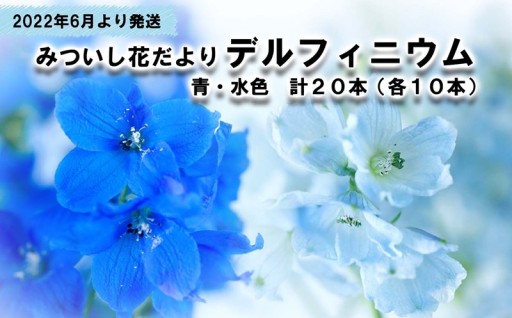 生花 デルフィニウム 計20本 スプレータイプ